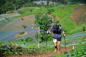 BIB: 
                            <button type="button" onclick="openModal(13379726)" class="btn btn-primary btn-sm float-right btn-popup" data-toggle="modal" data-target=".modal-high-quality">
                        <i class="fas fa-shopping-cart"></i> Add to Cart
                    </button>
                                            <button type="button" onclick="isThisMe(13379726, true)" class="btn btn-success btn-sm float-right btn-popup btn-isme hidden" data-toggle="tooltip" data-placement="bottom" title="นี่คือรูปของคุณใช่ไหม คลิกที่นี่เพื่อเอาเข้าอัลบั้ม">
                        <i class="fas fa-plus"></i> Add to album
                    </button>
                    <button type="button" onclick="isThisMe(13379726, false)" class="btn btn-warning btn-sm float-right btn-popup btn-isnotme hidden">
                        <i class="fas fa-ban"></i> Remove from album
                    </button>